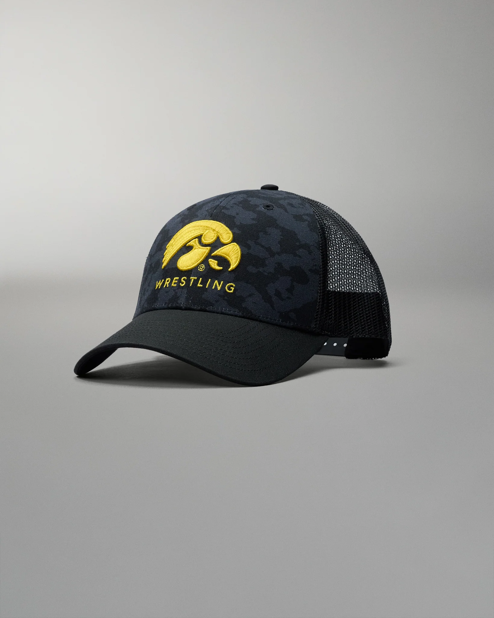 Hawkeye Bridge Trucker Hat