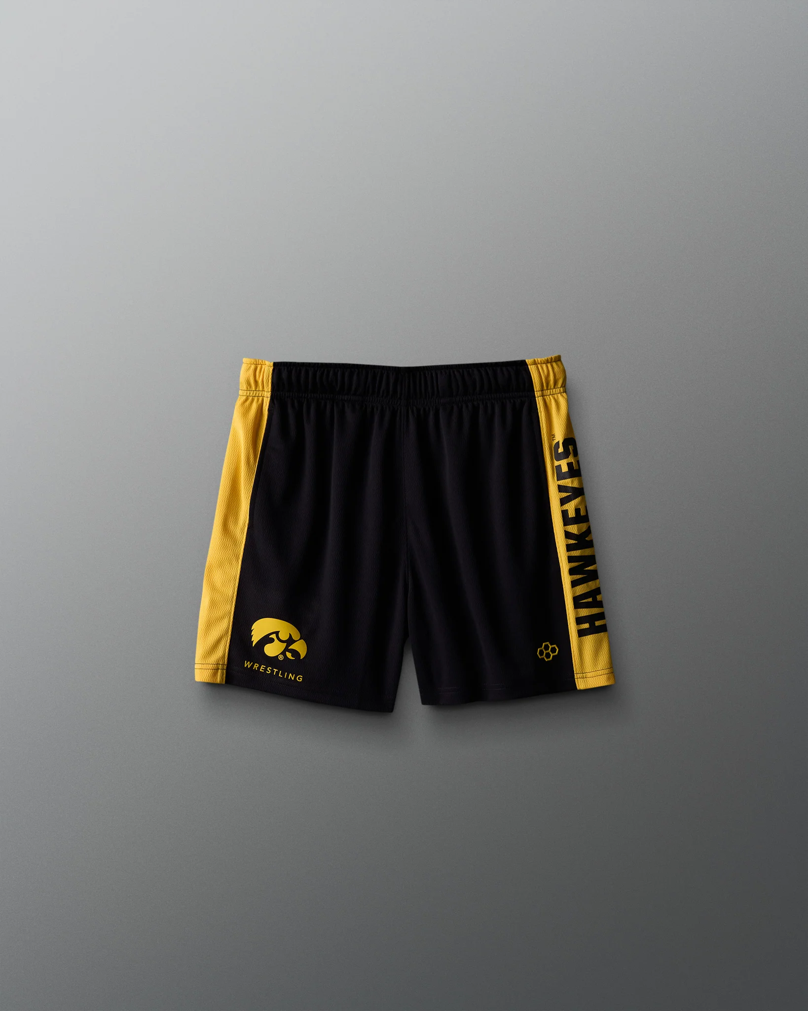 Iowa 5" Panel Youth Mesh Short