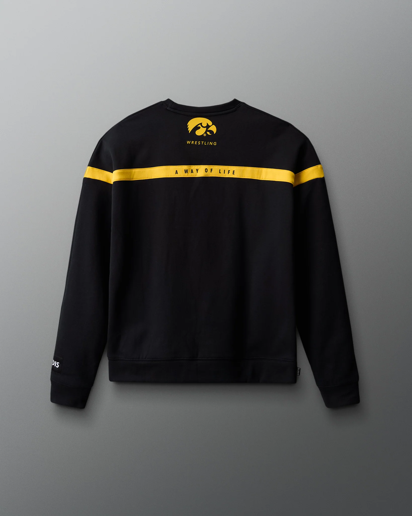 Iowa Colorblock Crewneck - Image 3