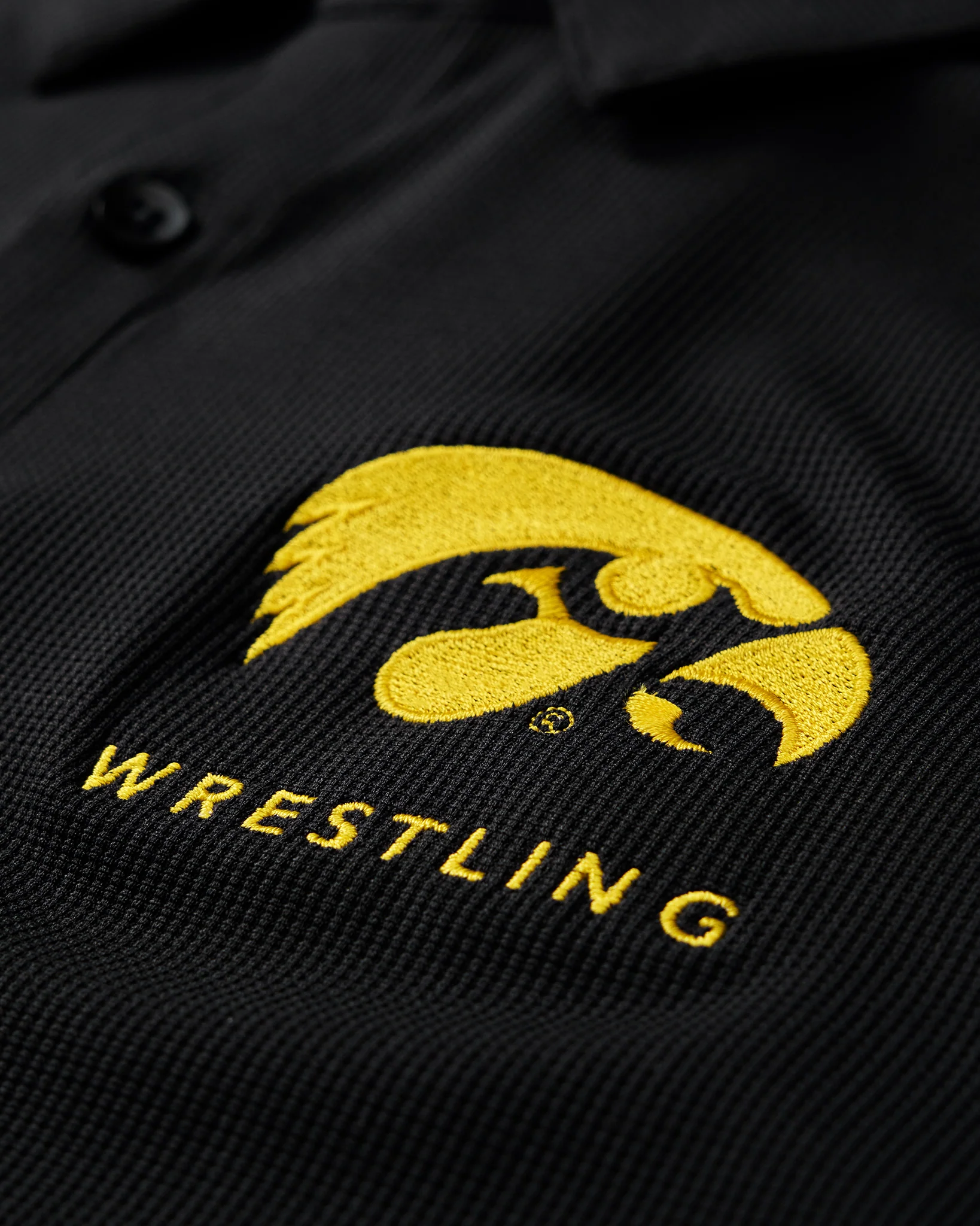 Iowa Go-To Polo - Image 8