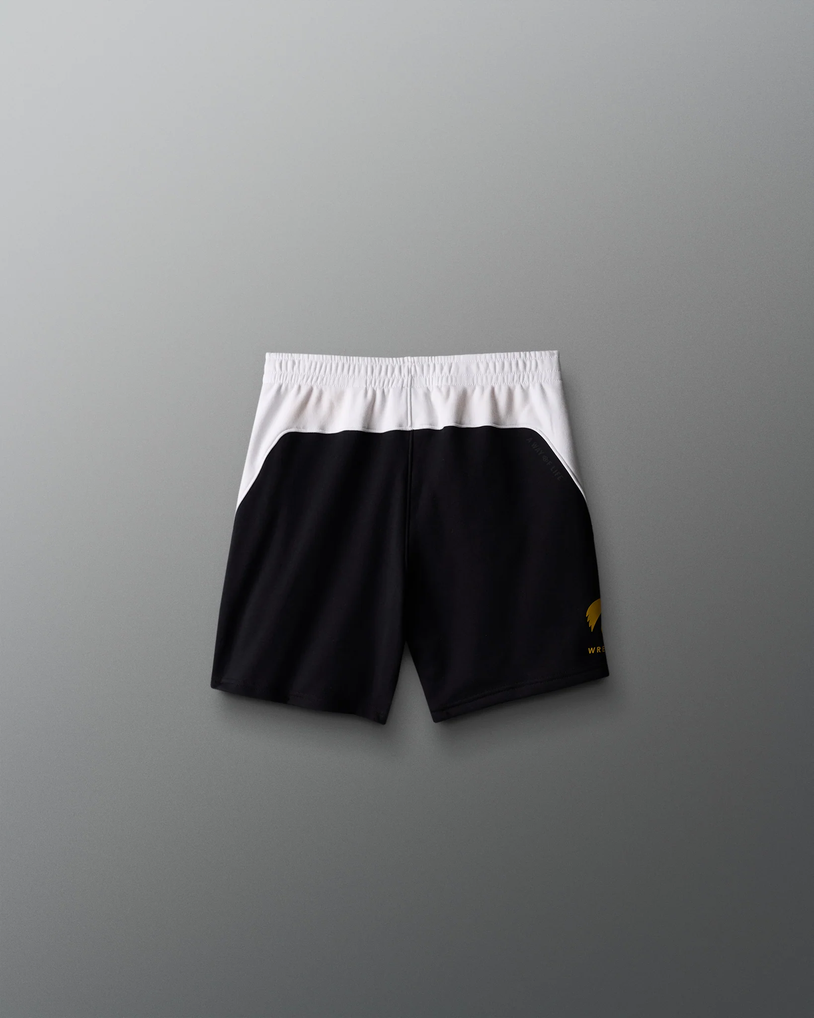 Iowa Youth Colorblock 5" Shorts - Image 2