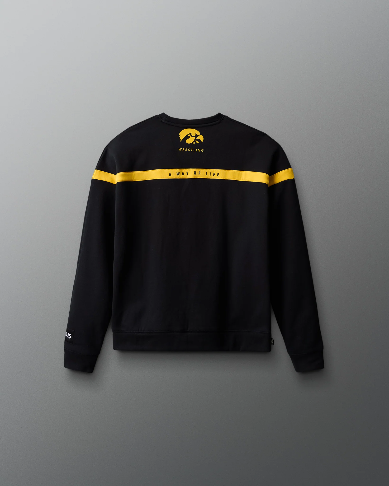 Iowa Youth Colorblock Crewneck - Image 2