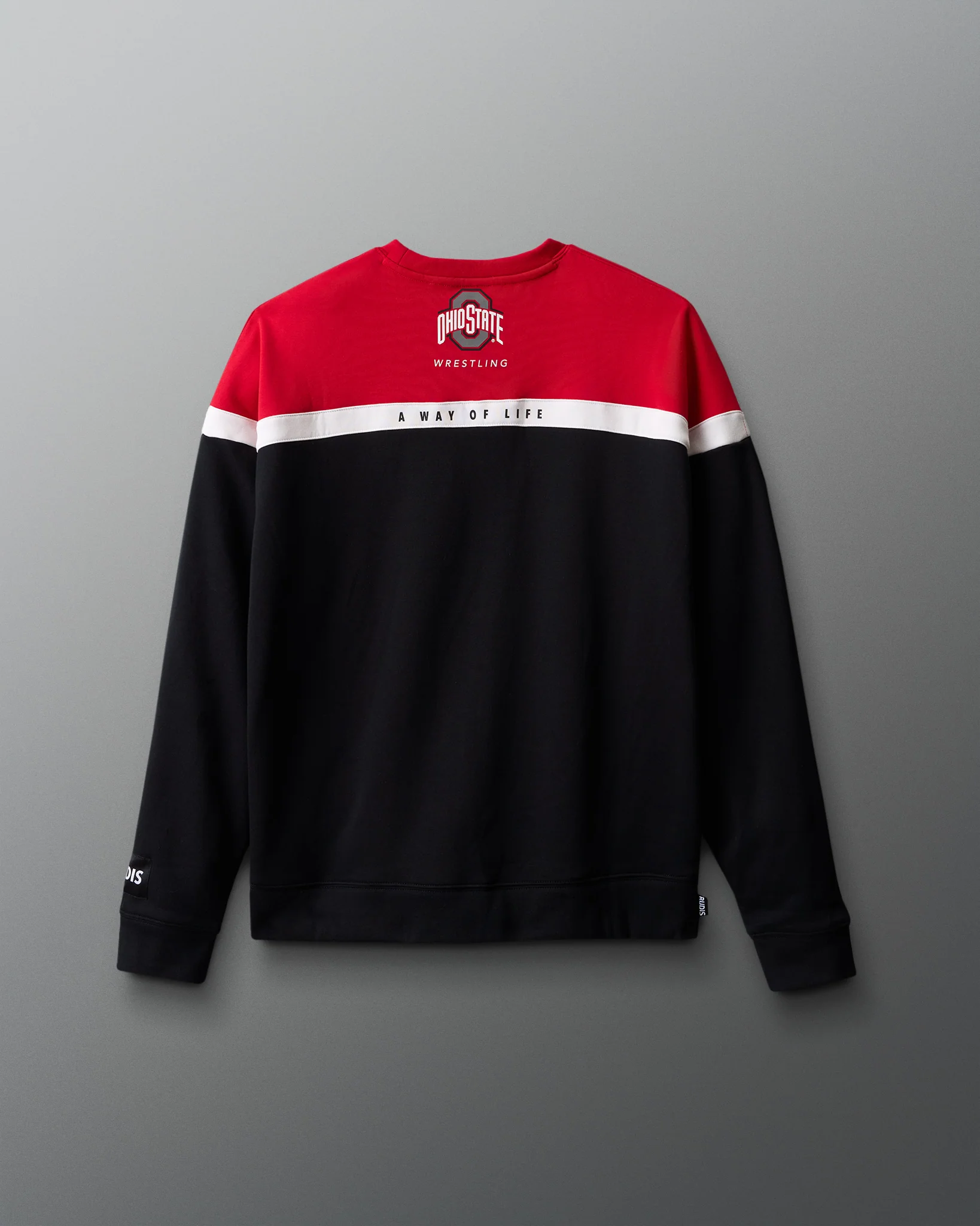 Ohio State Colorblock Crewneck - Image 3