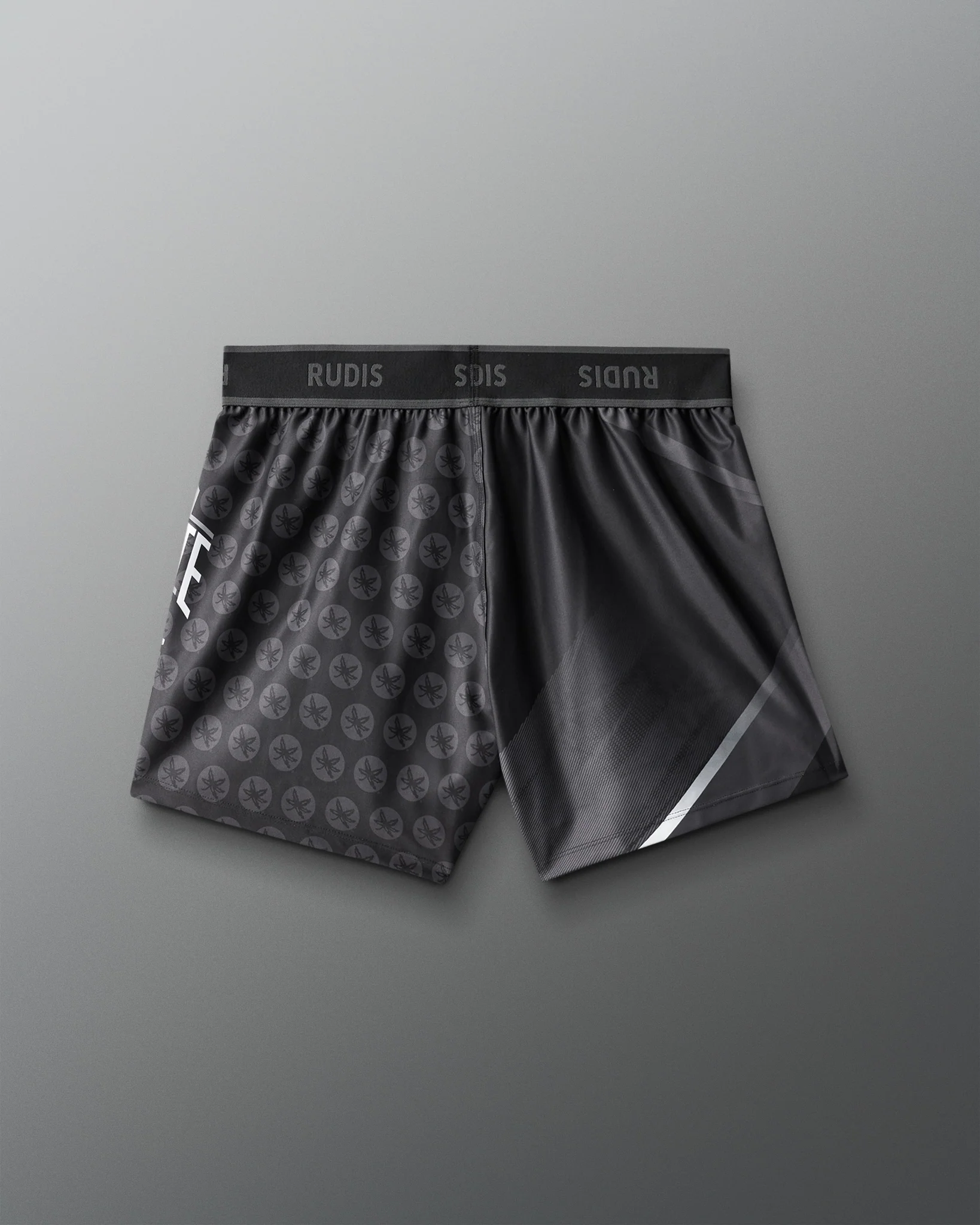 Ohio State Women's Sublimated Shorts - Image 6