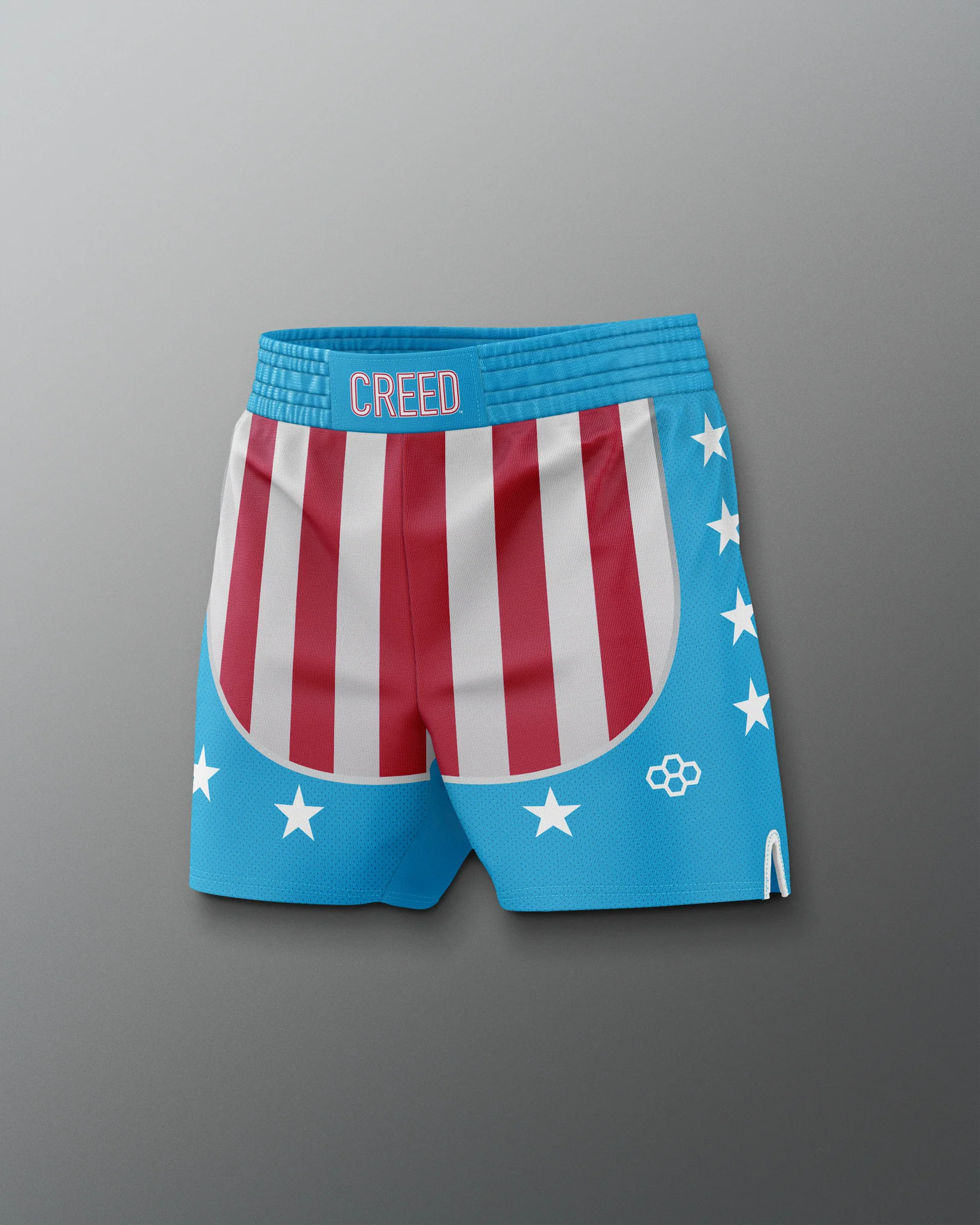 Rocky "CREED" 6" Elite Shorts - Image 5