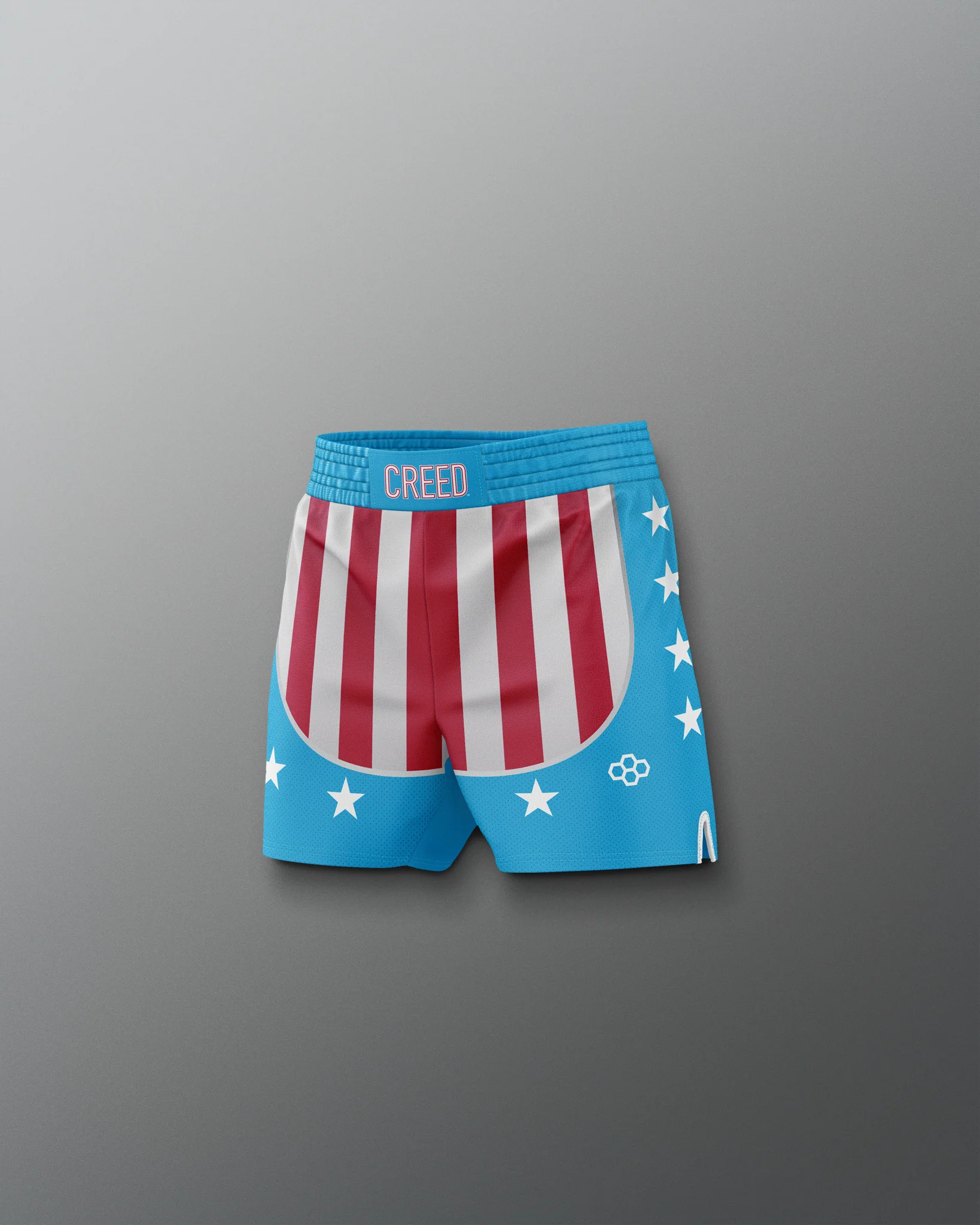 Rocky "CREED" Youth Elite Shorts - Image 5