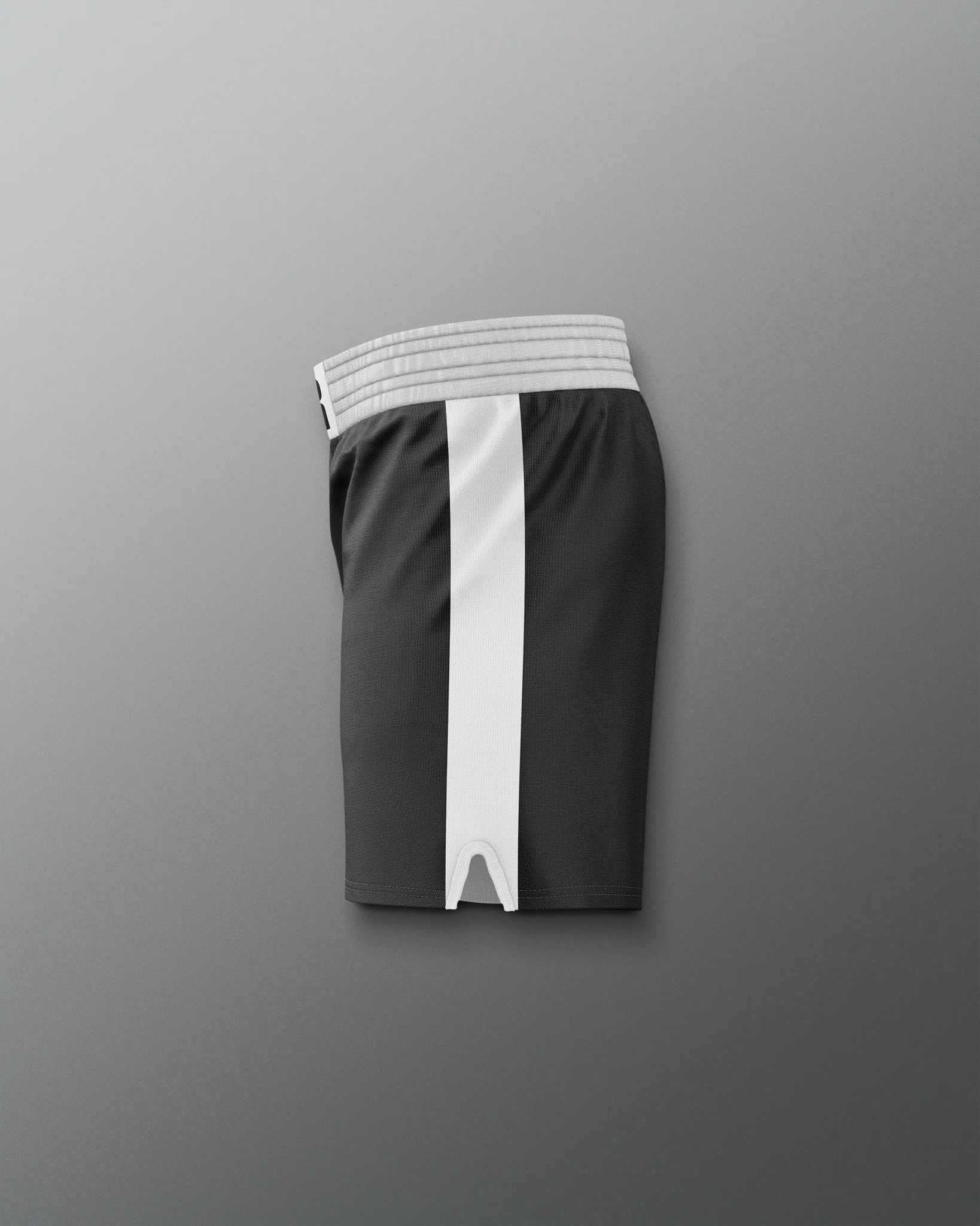 ROCKY III Clubber Lang Elite Wrestling Shorts - Image 3