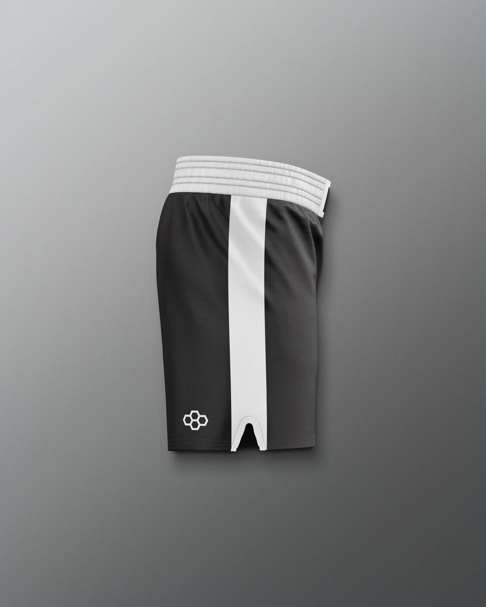 ROCKY III Clubber Lang Elite Wrestling Shorts - Image 4