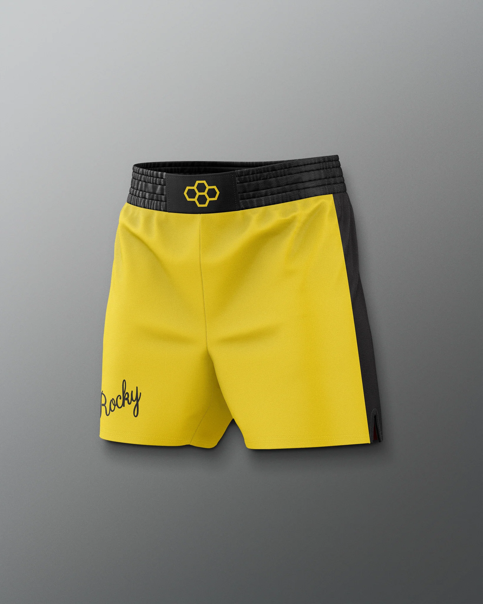 ROCKY III Rocky Elite Wrestling Shorts