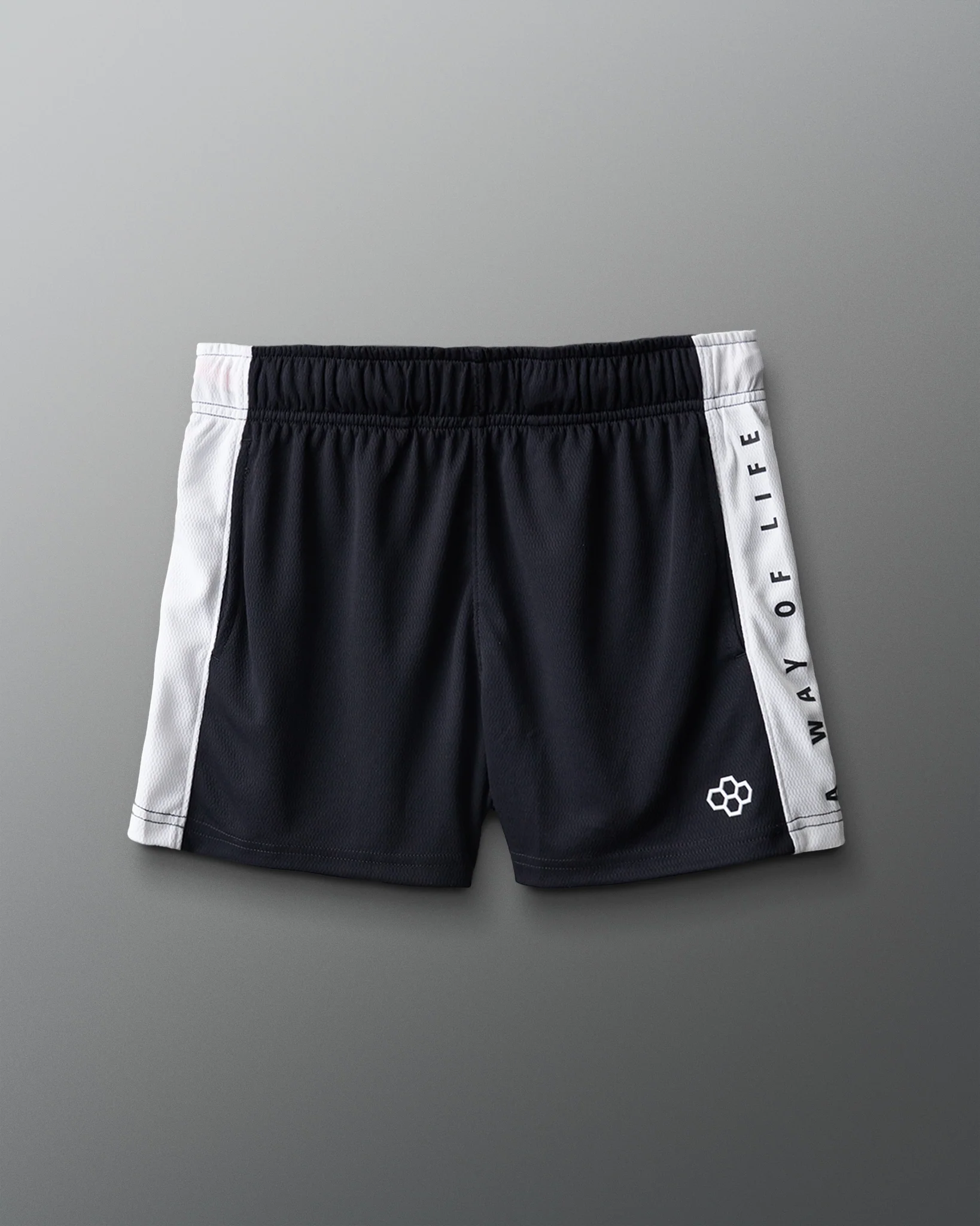 RUDIS 3" Premium Panel Mesh Short - Image 2