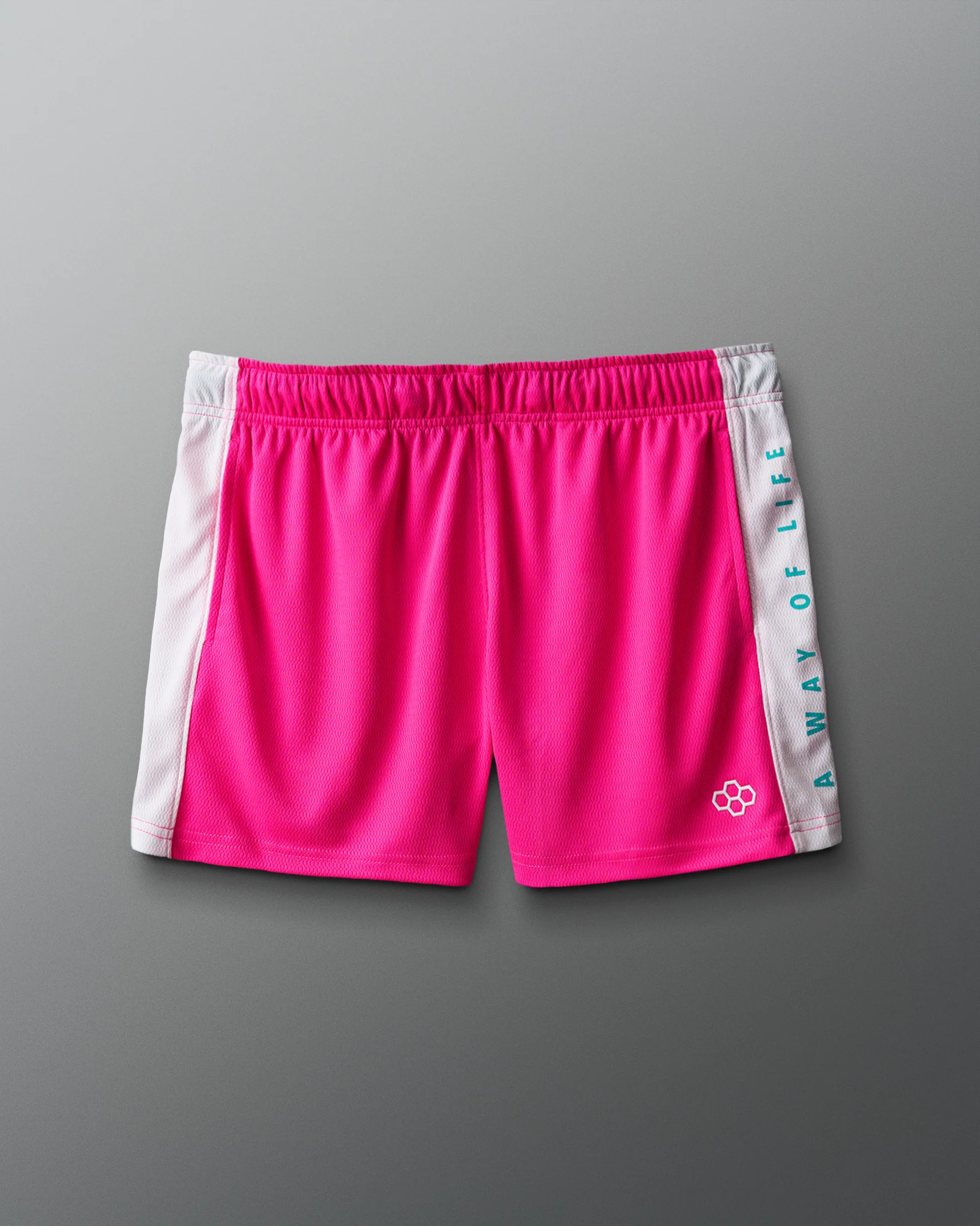 RUDIS 3" Premium Panel Mesh Short - Image 4