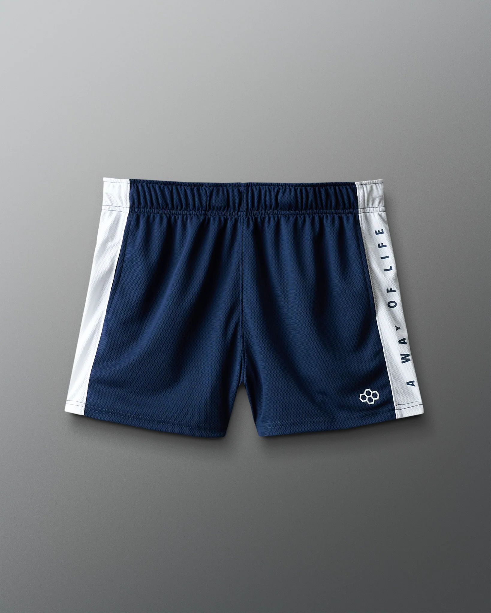 RUDIS 3" Premium Panel Mesh Short - Image 7