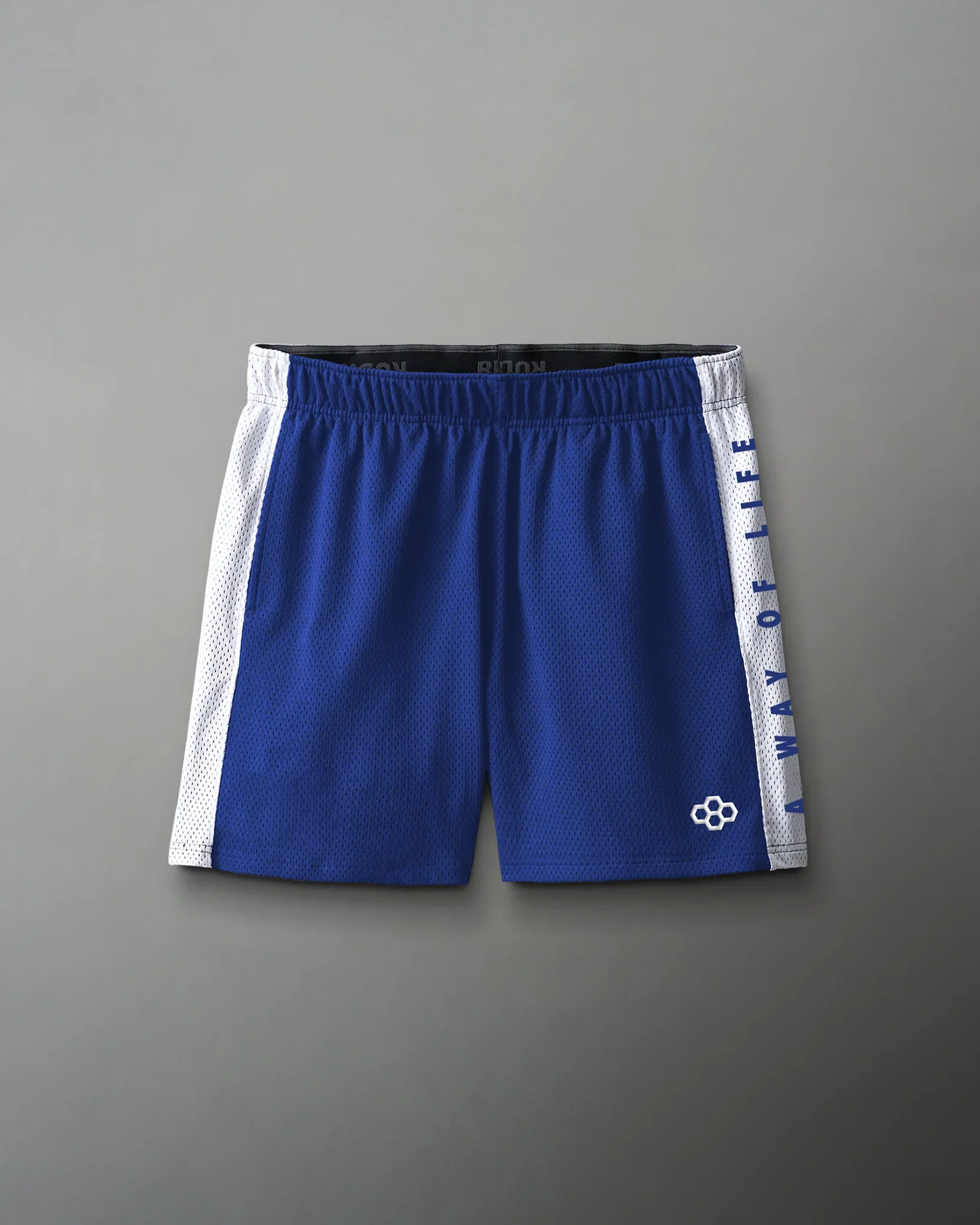 RUDIS 5" Youth Panel Mesh Short - Royal/White