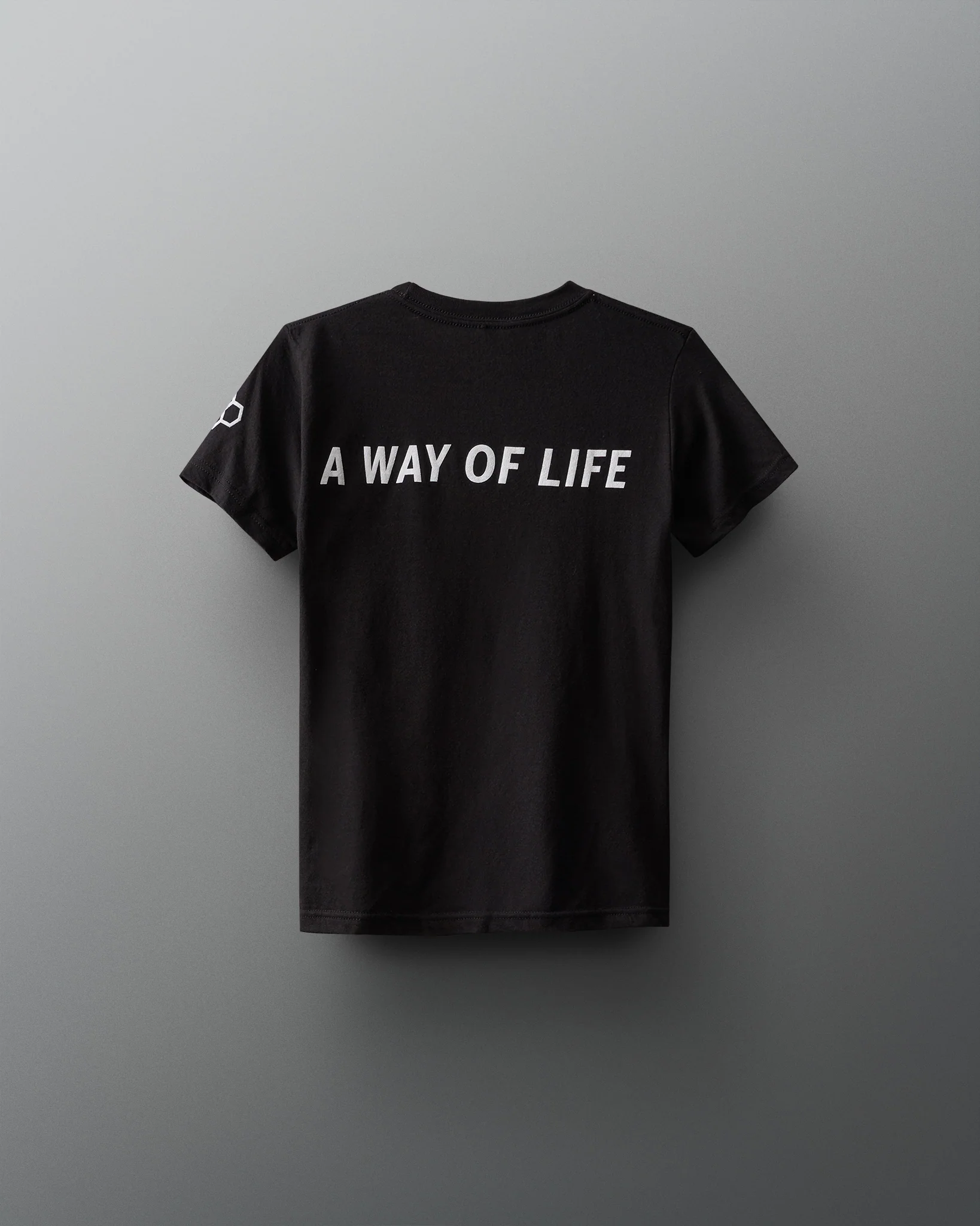 RUDIS Block Gradient Youth T-Shirt - Image 4