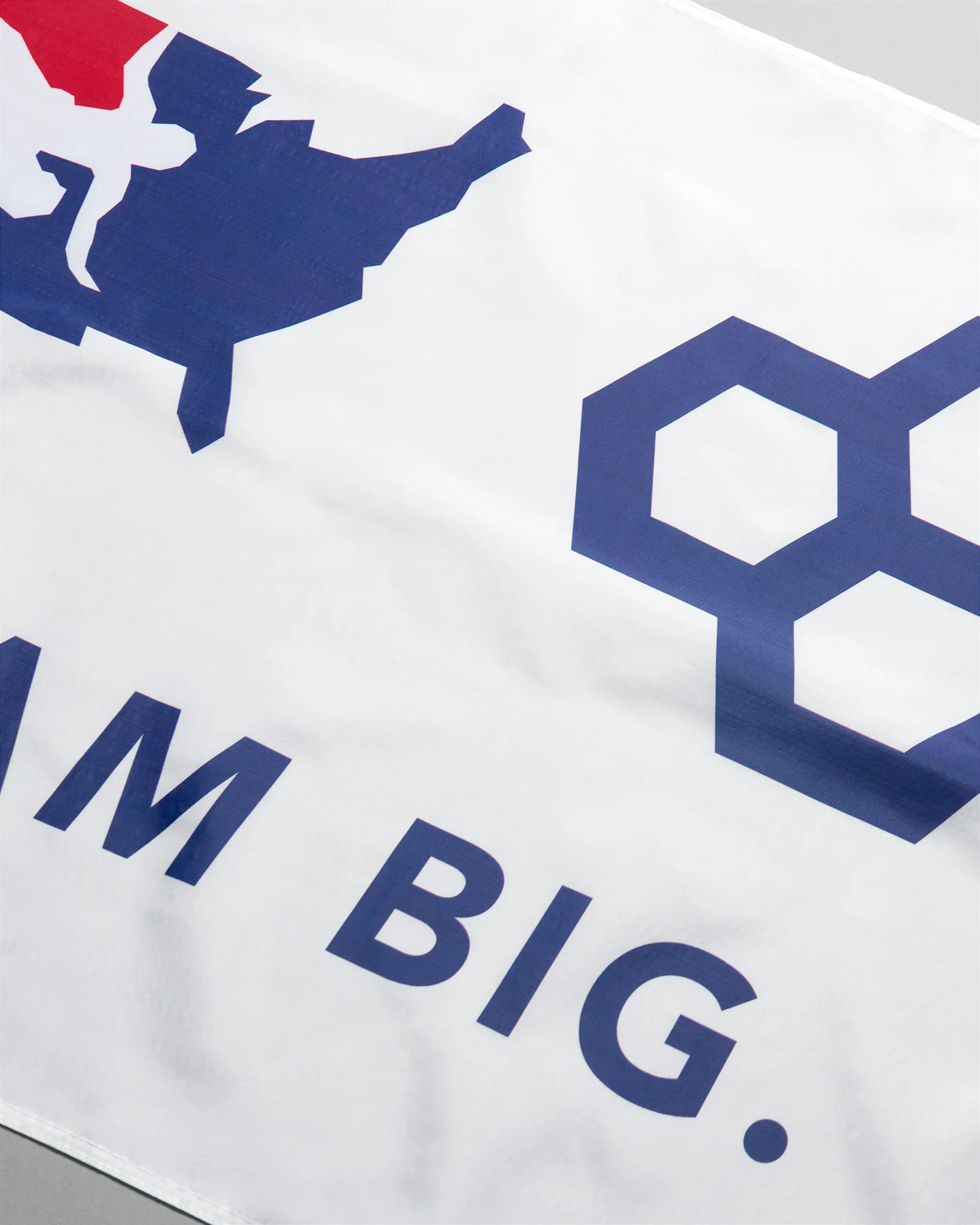 USA Wrestling Dream Big Flag - Image 6
