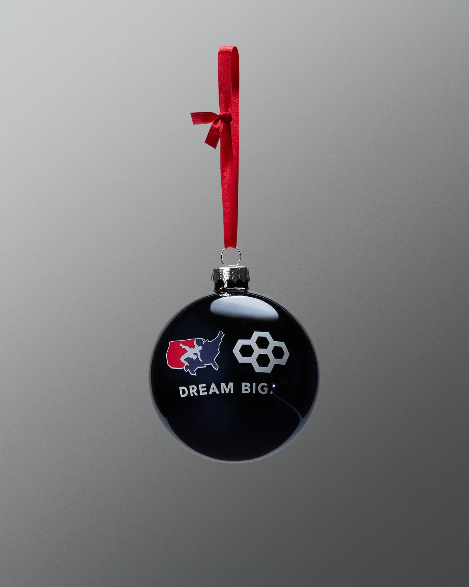 USA Wrestling Dream Big Ornament