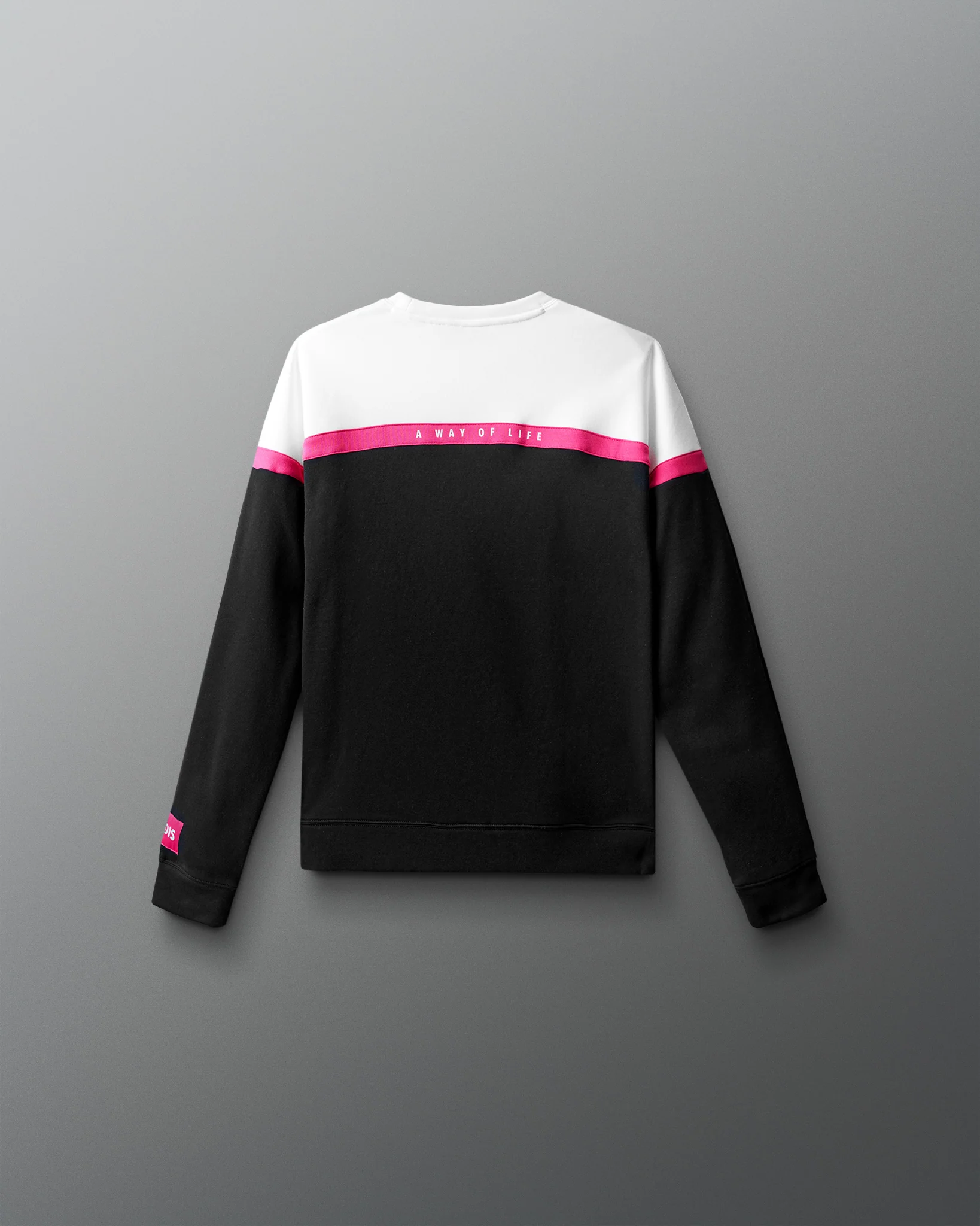 Wrestling Youth Colorblock Crewneck - Image 2
