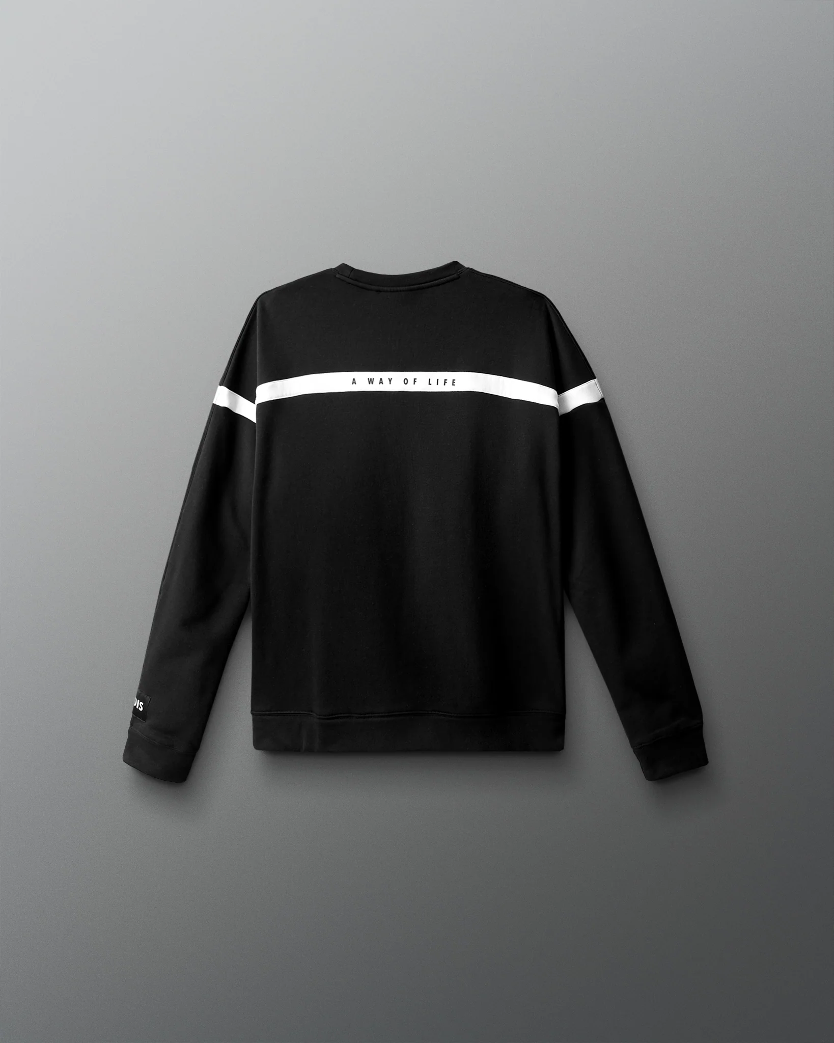 Wrestling Youth Colorblock Crewneck - Image 4