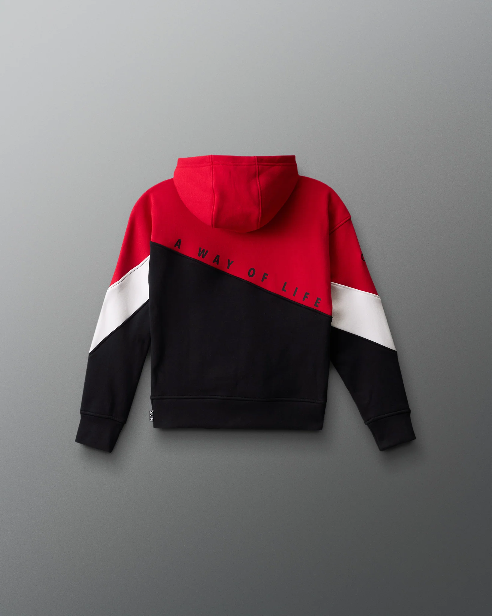 Wrestling Youth Colorblock Hoodie - Image 6