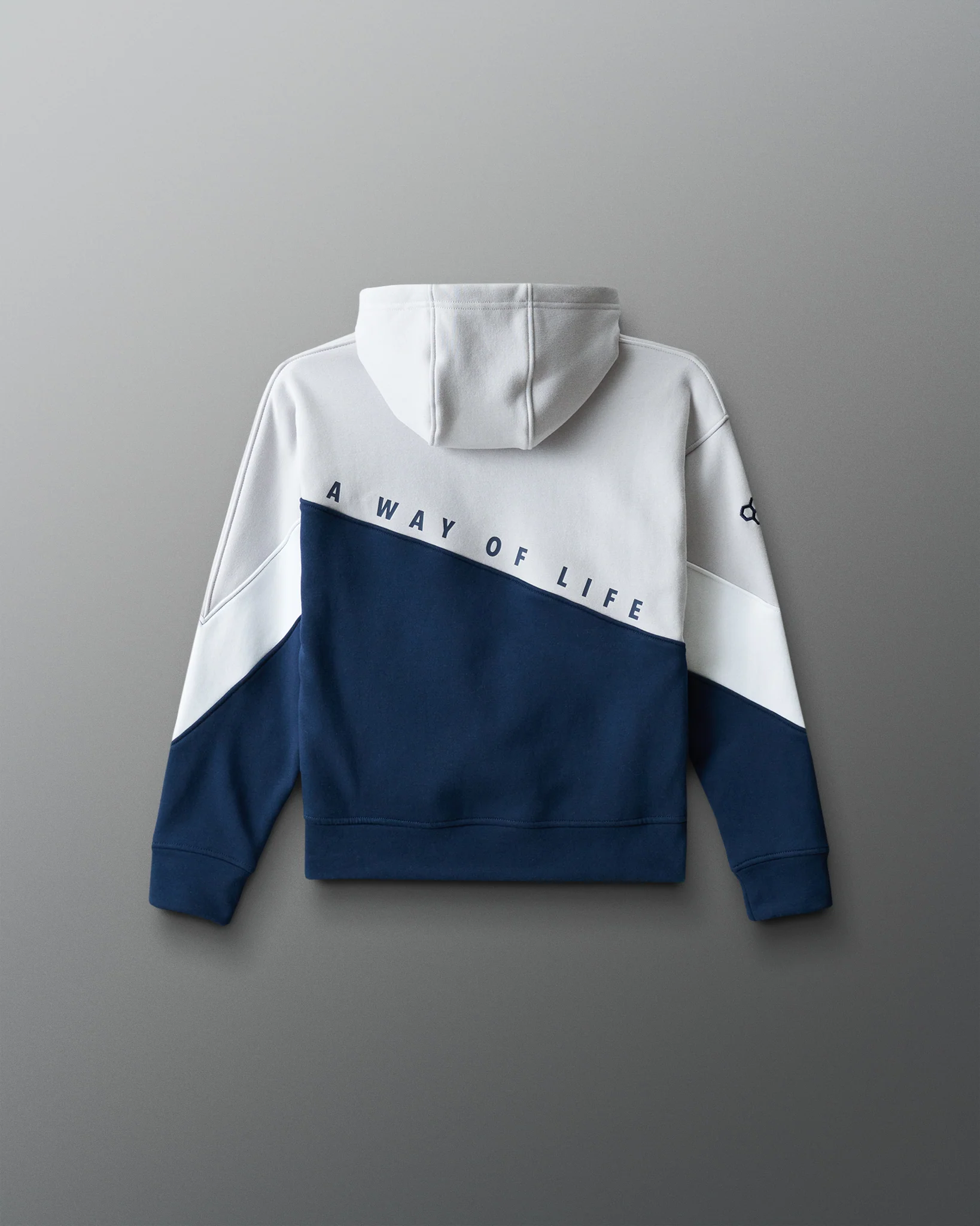 Wrestling Youth Colorblock Hoodie - Image 8